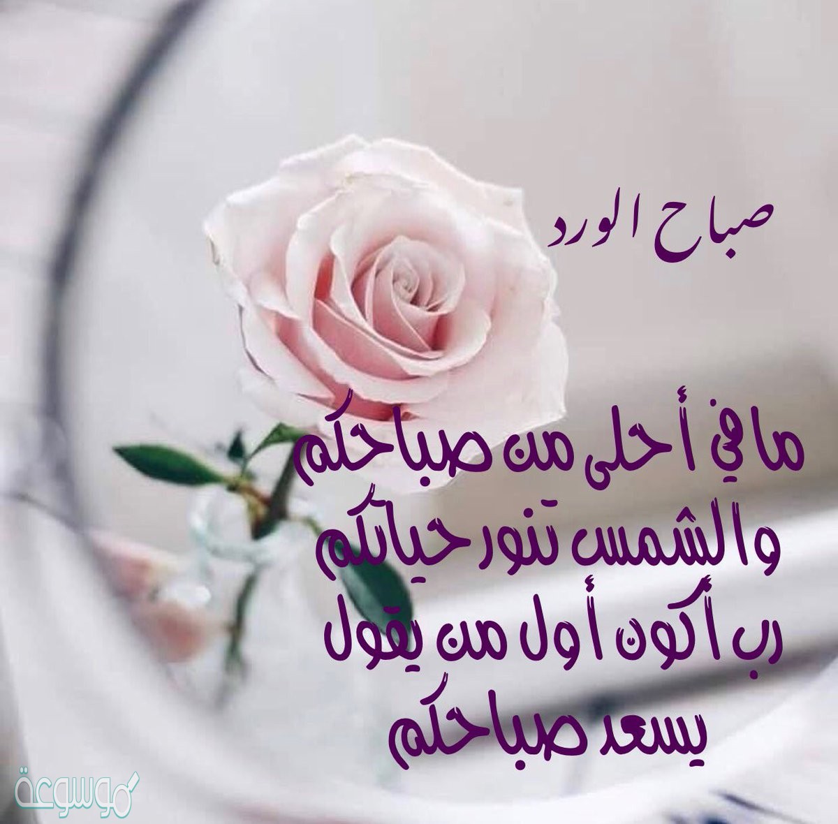 كلمات صباح الخير- صباح النور على اهل النور 94 13