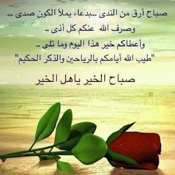 صور صباحيات - كلمات صباحيه رقيقه 4759 11