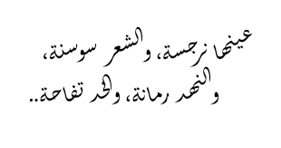 شعر غزل فاحش في وصف جسد المراة، اشعار تصف جسم المرأة 2716