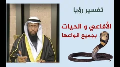 الافاعي في المنام , تفسير رؤية الثعبان فى المنام