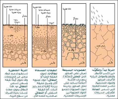 مكونات التربة - تعريف التربة و مما تتكون 1644