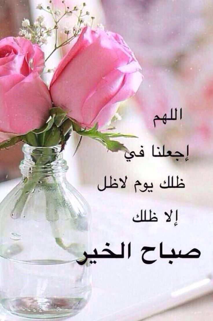 صباح الخير صور 6488 3