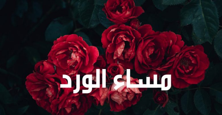 مساء الشوق - على شاطئ النيل 4437 17