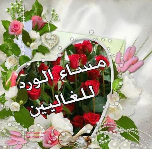 صور مساء الفل- عبارات مسائية جميلة 173 5