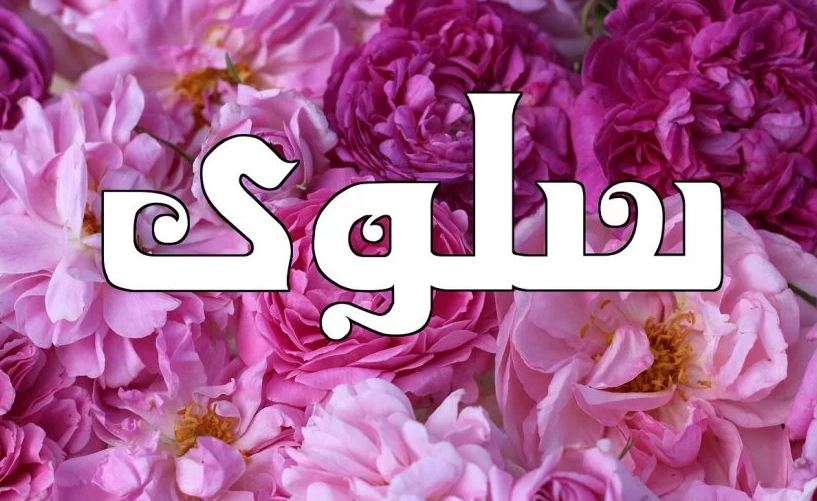 معنى اسم سلوى 207 1