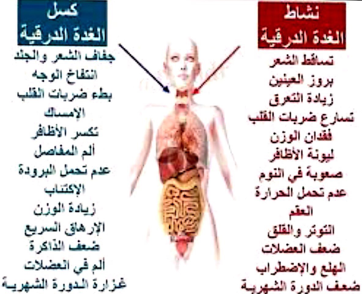 غدة مهمة جدا - اعراض الغدة الدرقية 2407 2