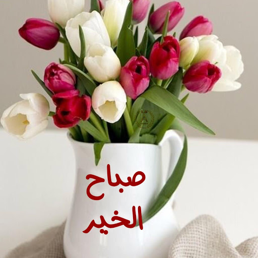 صور صباح خير- عبارات الصباح الرقيقة 159 1