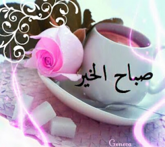 صور صباحيات - كلمات صباحيه رقيقه 4759 13