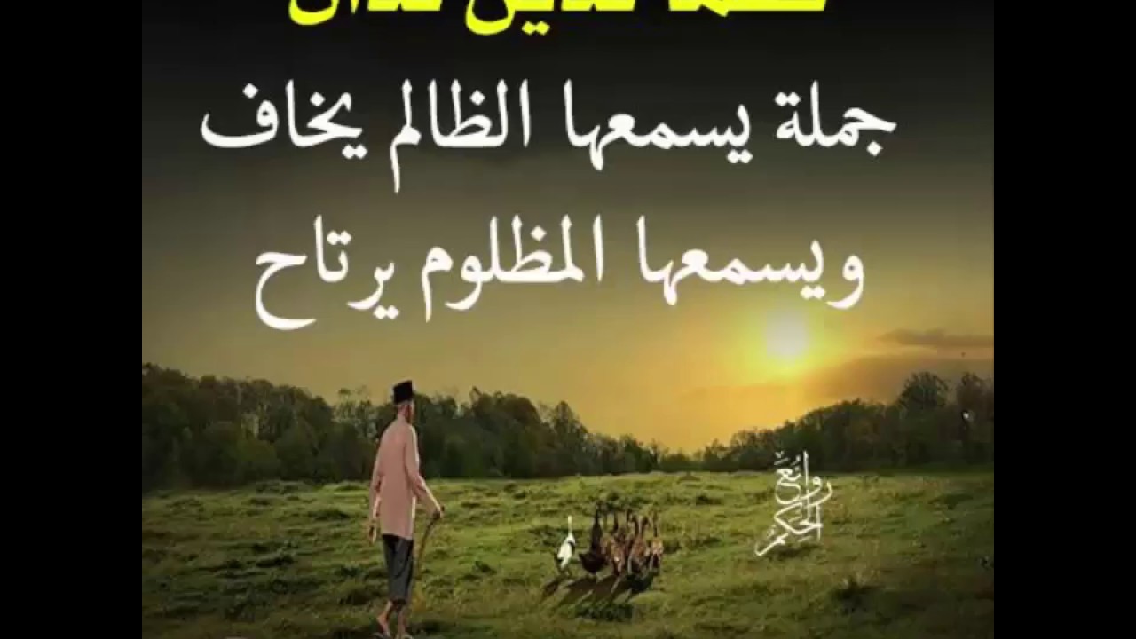 حكم من ذهب- أجمل الحكم 4394 12