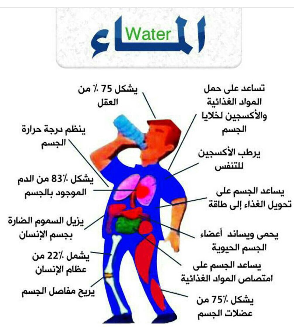 فوائد شرب الماء - اهميه الماء في الحياة 5542 1