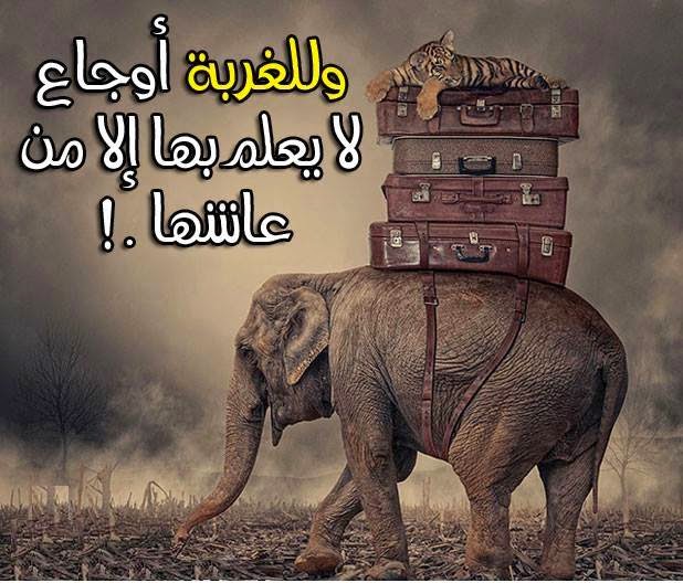 صور عن الغربه - صور كلام مؤثر جدا عن الغربة 1428