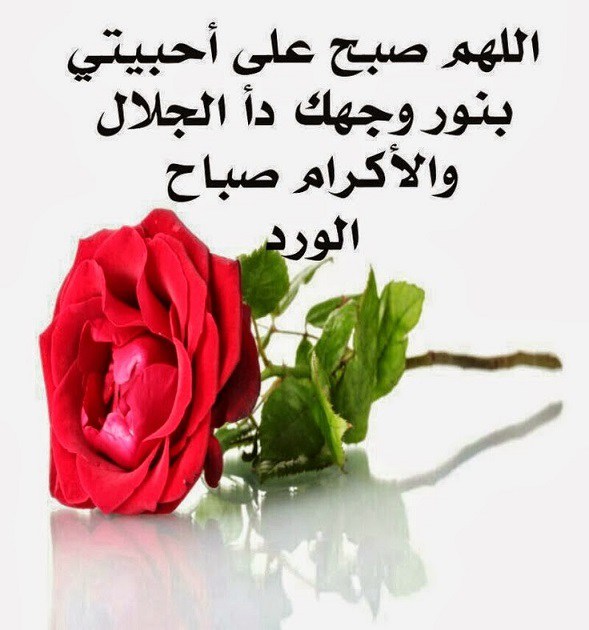 صور صباحيات - كلمات صباحيه رقيقه 4759 12