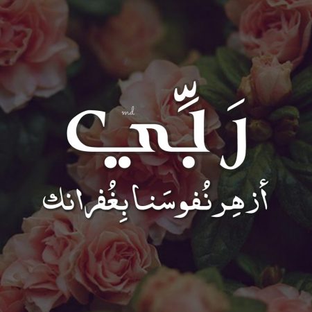 احلى الصور للواتس - اجمل صورة للواتس اب 1031 3