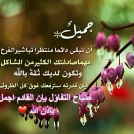 همسة صباحية - كلمات رقيقه مليئه بالامل والحياة 5013 9