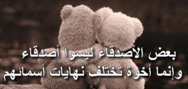 شعر مدح صديقه , الصداقه مهمه جدا