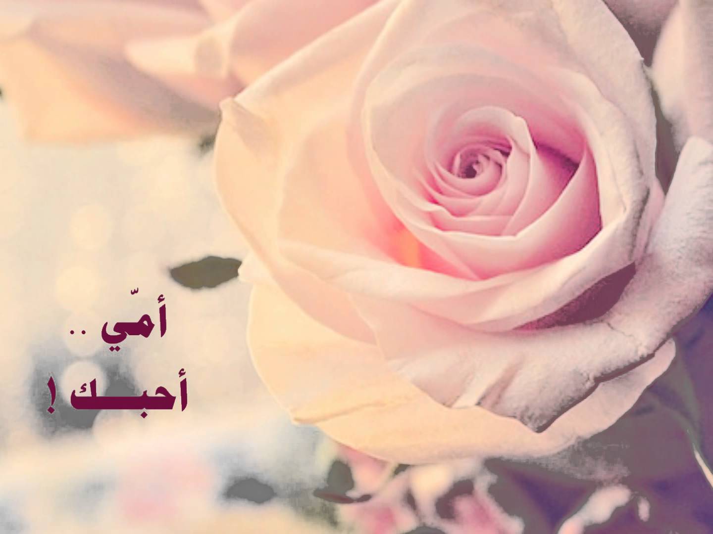 صور اسم امي - اجمل صور مكتوب عليها امي 1458 2