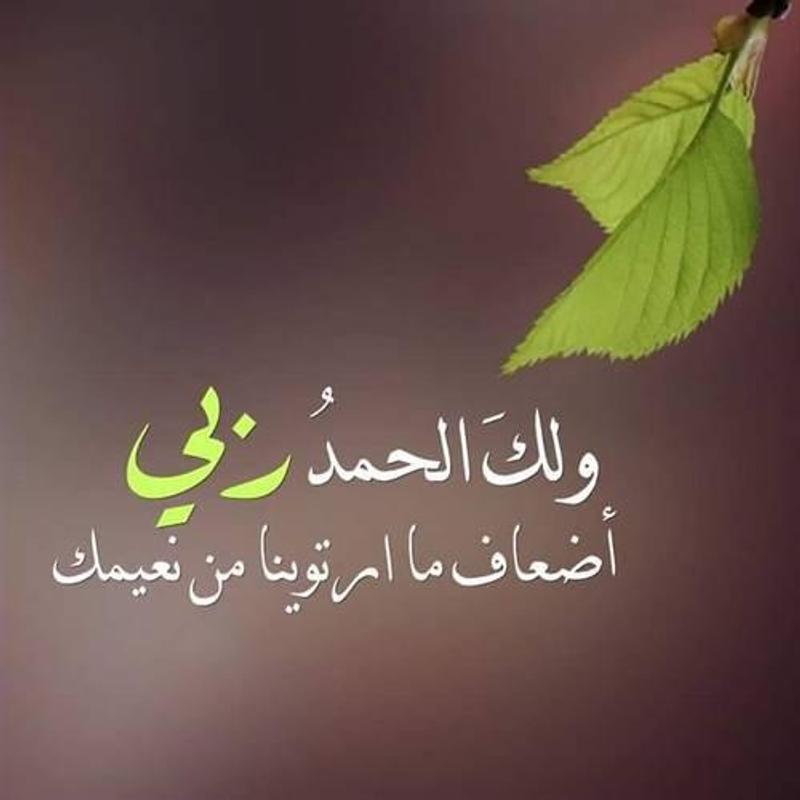 صور واتساب اسلاميه , احدث حالات الواتساب