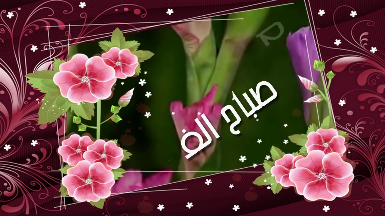 صباح الورد والفل - اروع الصور مكتوب عليها كلمات صباحيه 772 15