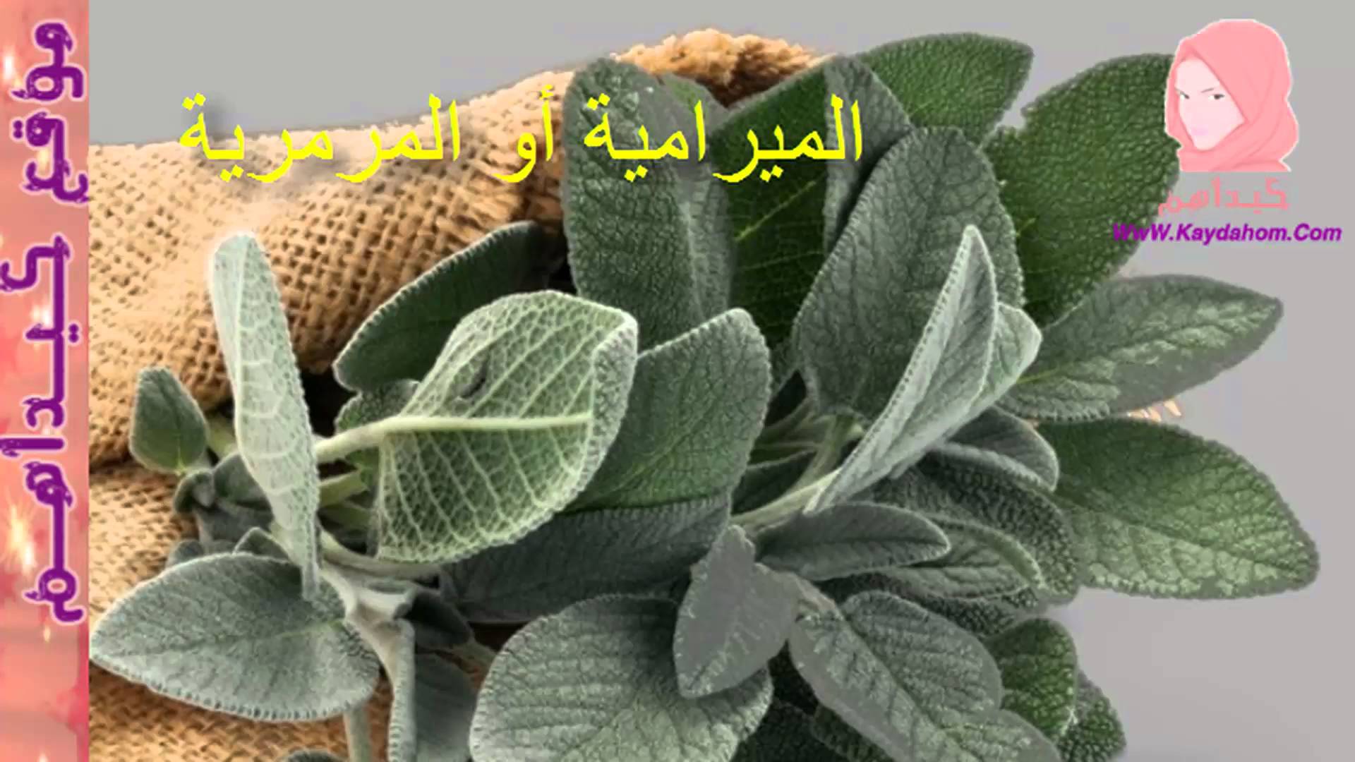 خلطات لتكبير الصدر , طرق تكبير الصدر