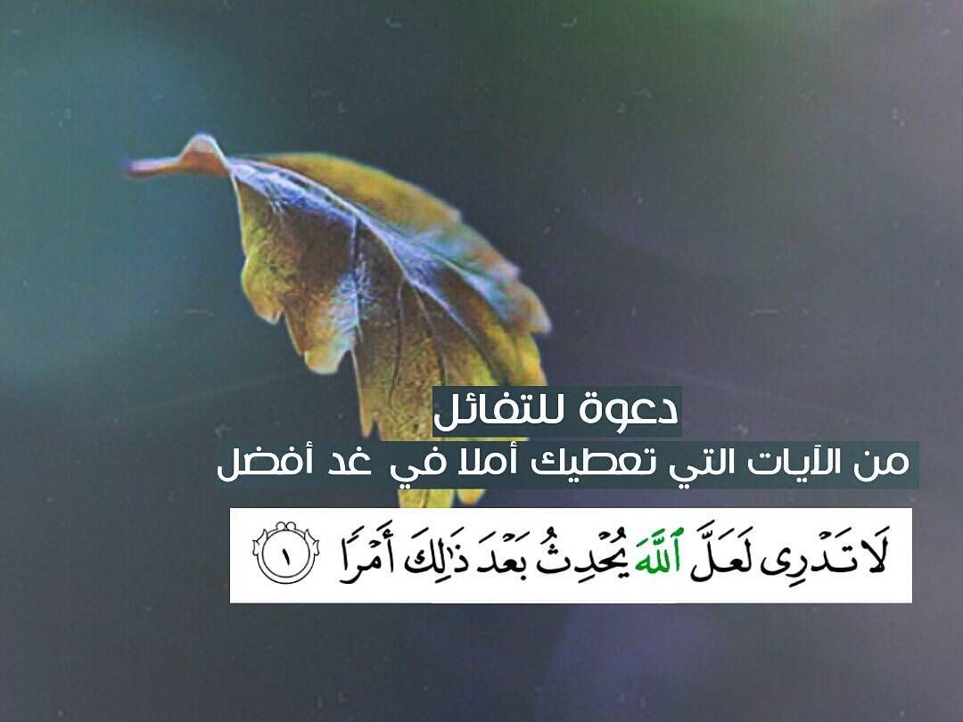 صور عن الامل- خلي عندك امل فى بكره 4689 14