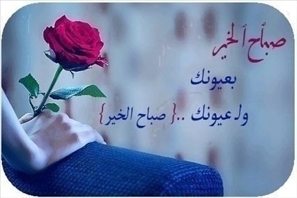 بيسيات صباحيه - اجمل الرسائل الصباحيه القصيره 6311 11