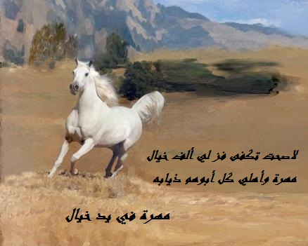 شعر عن الخيل , اجمل ابيات الشعر تصف جمال الخيل