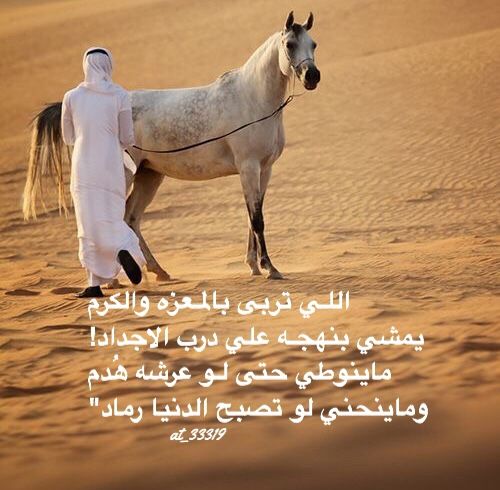 ابيات شعر مدح 6150 4