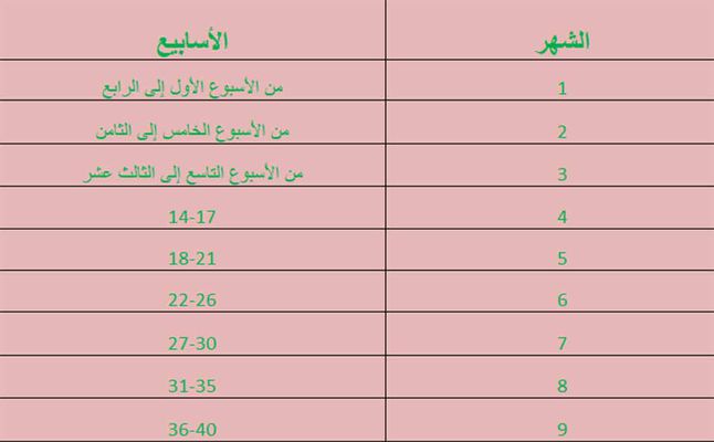 حساب الحمل بالاسابيع , تعلمي حساب شهور حملك