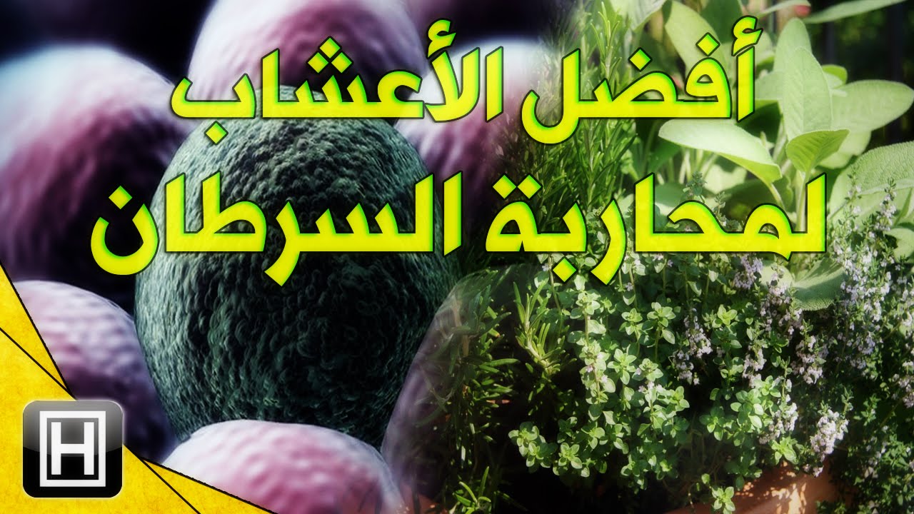 علاج مرض السرطان بالاعشاب - افضل الاعشاب لمساعده علي علاج الاورام 11475 3