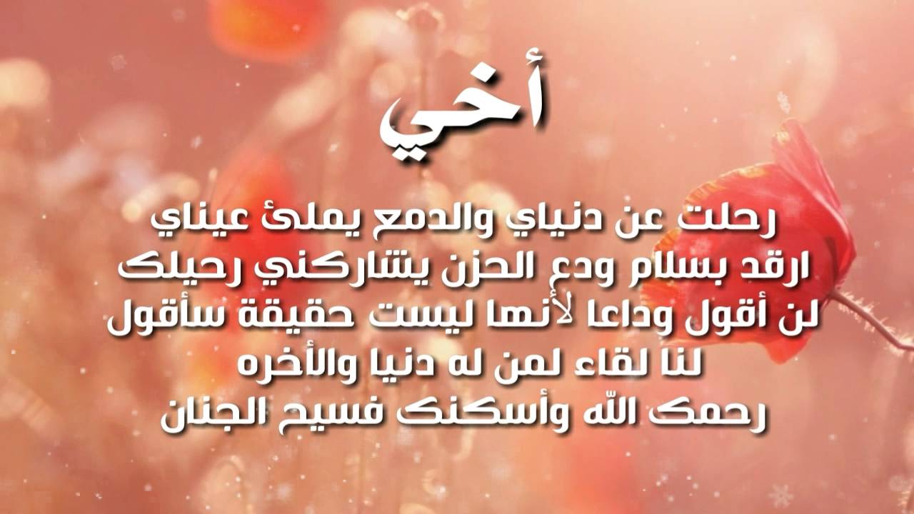 اخوية الغالى الحبيب - قصيدة عن الخوة 12200 9