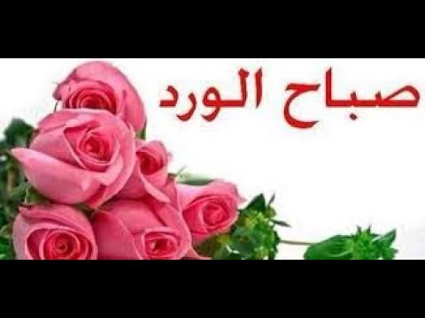 رسائل صباحية للحبيب - غرد بكلمات رومانسيه لمن تحب 5041 6