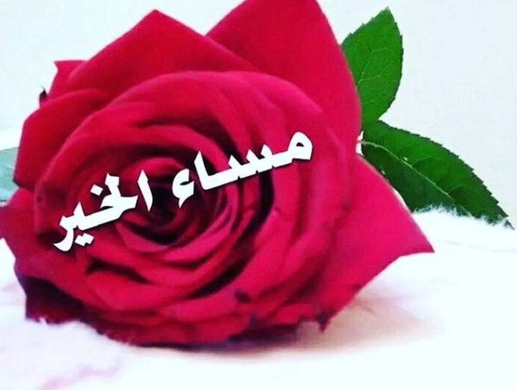 صور مساء الفل- عبارات مسائية جميلة 173 6