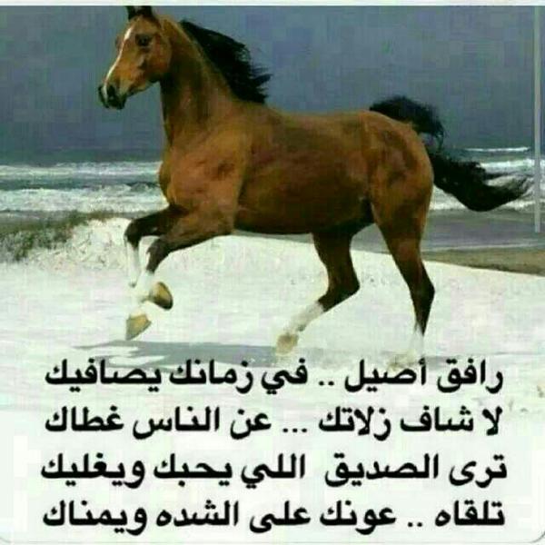 قصيدة مدح الخوي