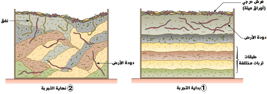 مكونات التربة - تعريف التربة و مما تتكون 1644 1