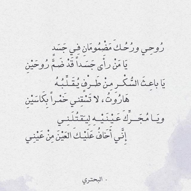 ابيات شعر مدح