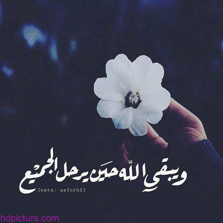 صور روعه 6193 2