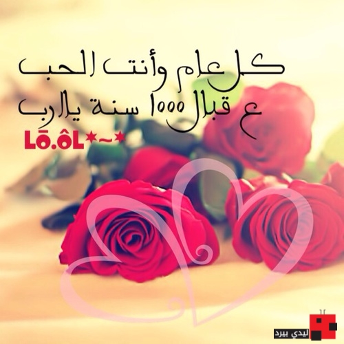 صور عيد ميلاد حبيبي - صور عيد ميلاد 3306 2