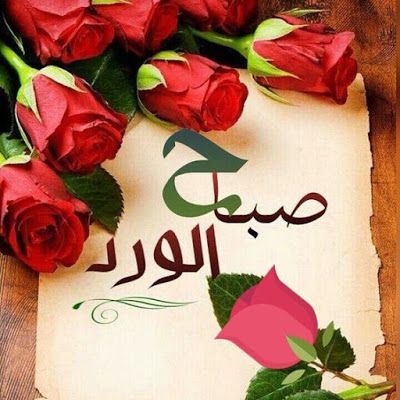 صور صباحيات - كلمات صباحيه رقيقه 4759 10