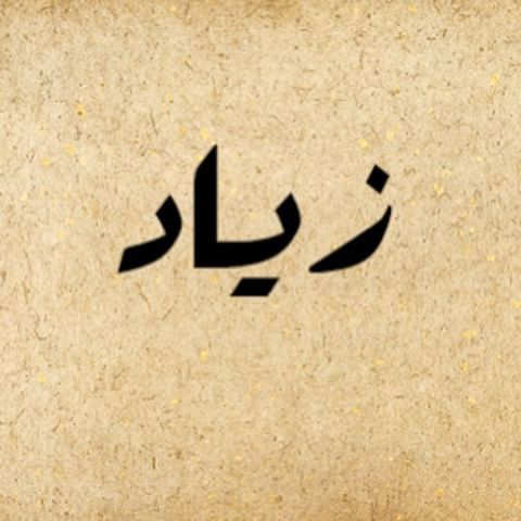 اسم زياد بالصور - احدث الصور للاسماء 12621 2