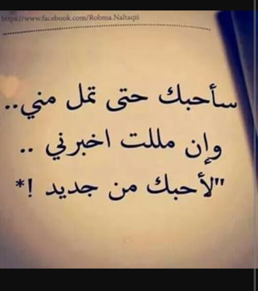 شعر في الحب 6451 1