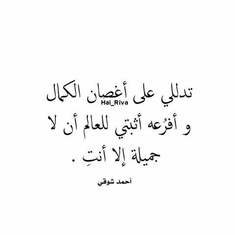 شعر عن الجمال 6356 6