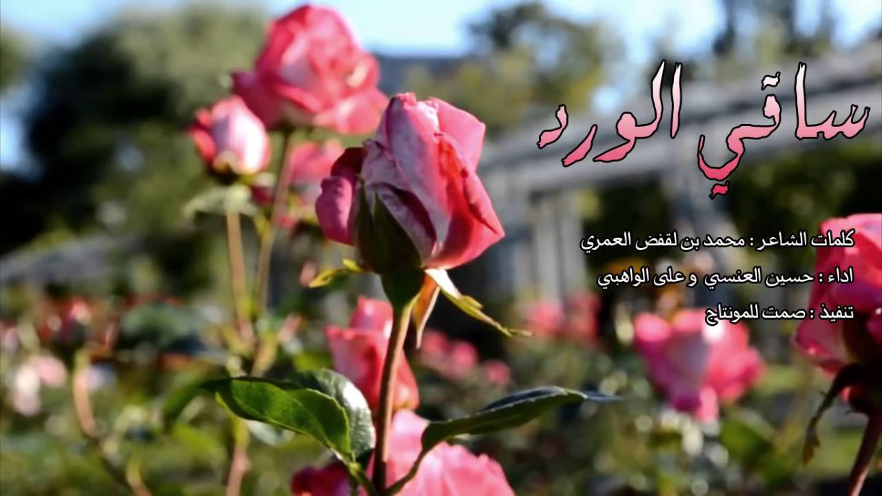 وردة كيوت رقيقة - شعر عن الورد 3459 7