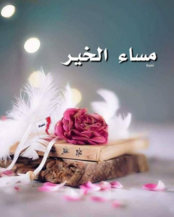 رمزيات مساء الخير , عبارات مساء الخير جميلة