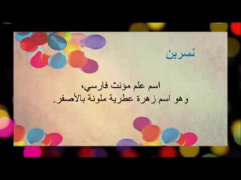 مامعنى اسم نسرين 11820