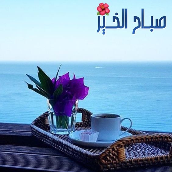 صور احلى صباح - كلمات مميزة عن الصباح 5341 6