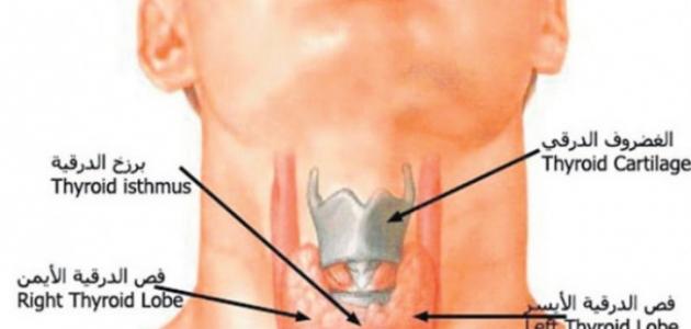 مرض الغدة الدرقية - اعراض التى تظهر على مريض الغدة الدرقيه 710 1