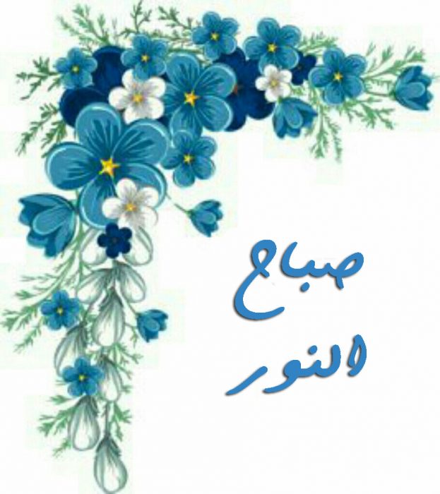 صباح نور - صباح مشرق بالامل 4946 9