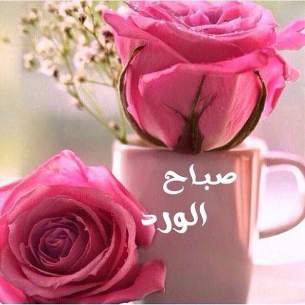 صباح الخير صور 6488 4