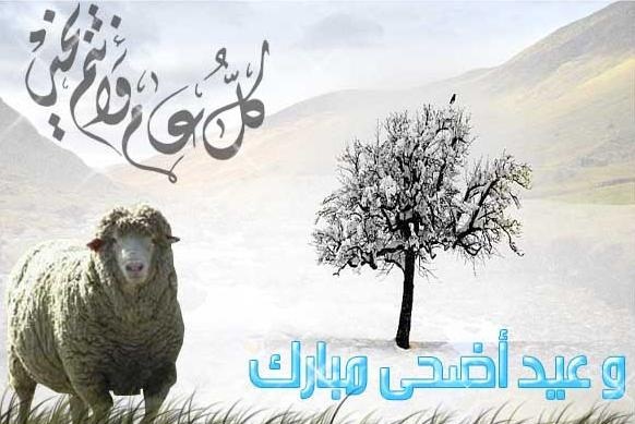 صور عيد الاضحى المبارك - اروع صوره لعيد الاضحى 6358 2