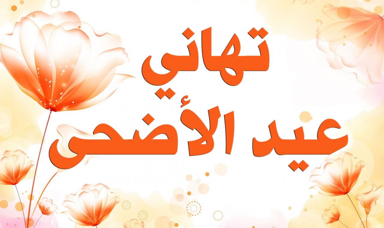 هناكل لحمة هيه , تهنئة عيد الاضحى